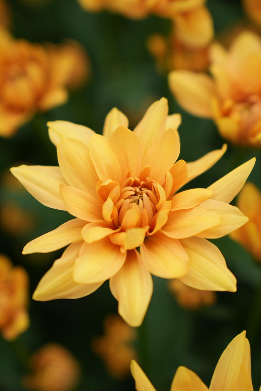 Lifestyle and product photography shoot by Denrique Productions, Hartbeespoort